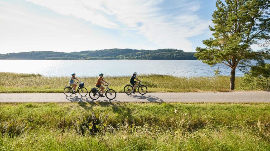 Tre cyklister på landsväg