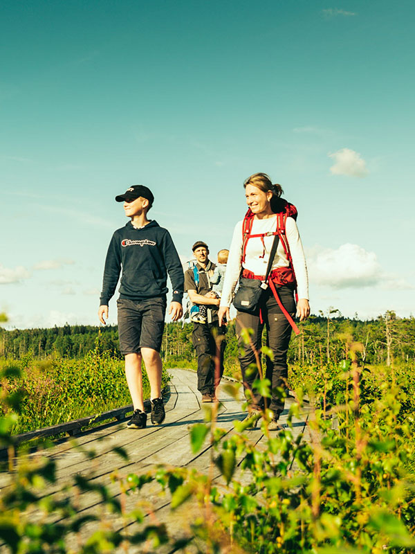 Famij vandrar på Vänga Mosse