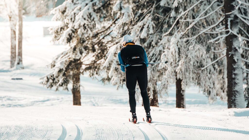 En person åker längdskidor.
