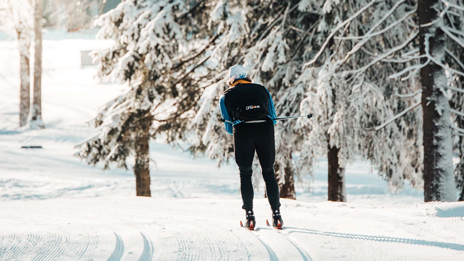 En person åker längdskidor.
