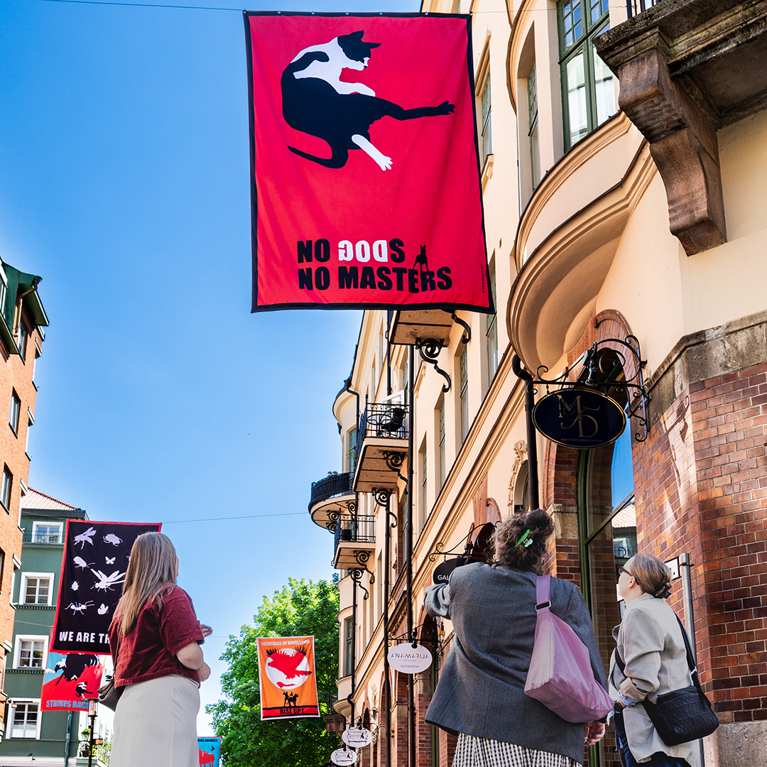 tre personer ser upp mot stora flaggor som hänger längs med gatan