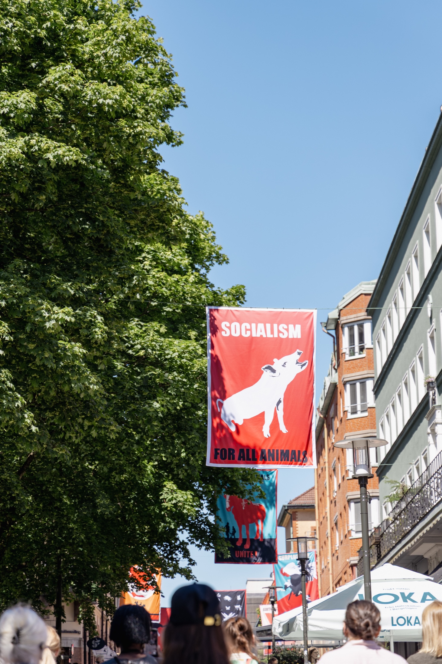 Konstverk som flaggor på stan utomhus.